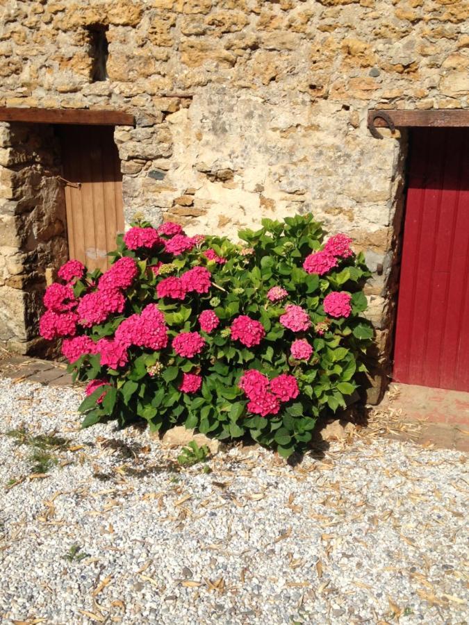 Le Clos De La Viniere Jard-sur-Mer Exterior photo
